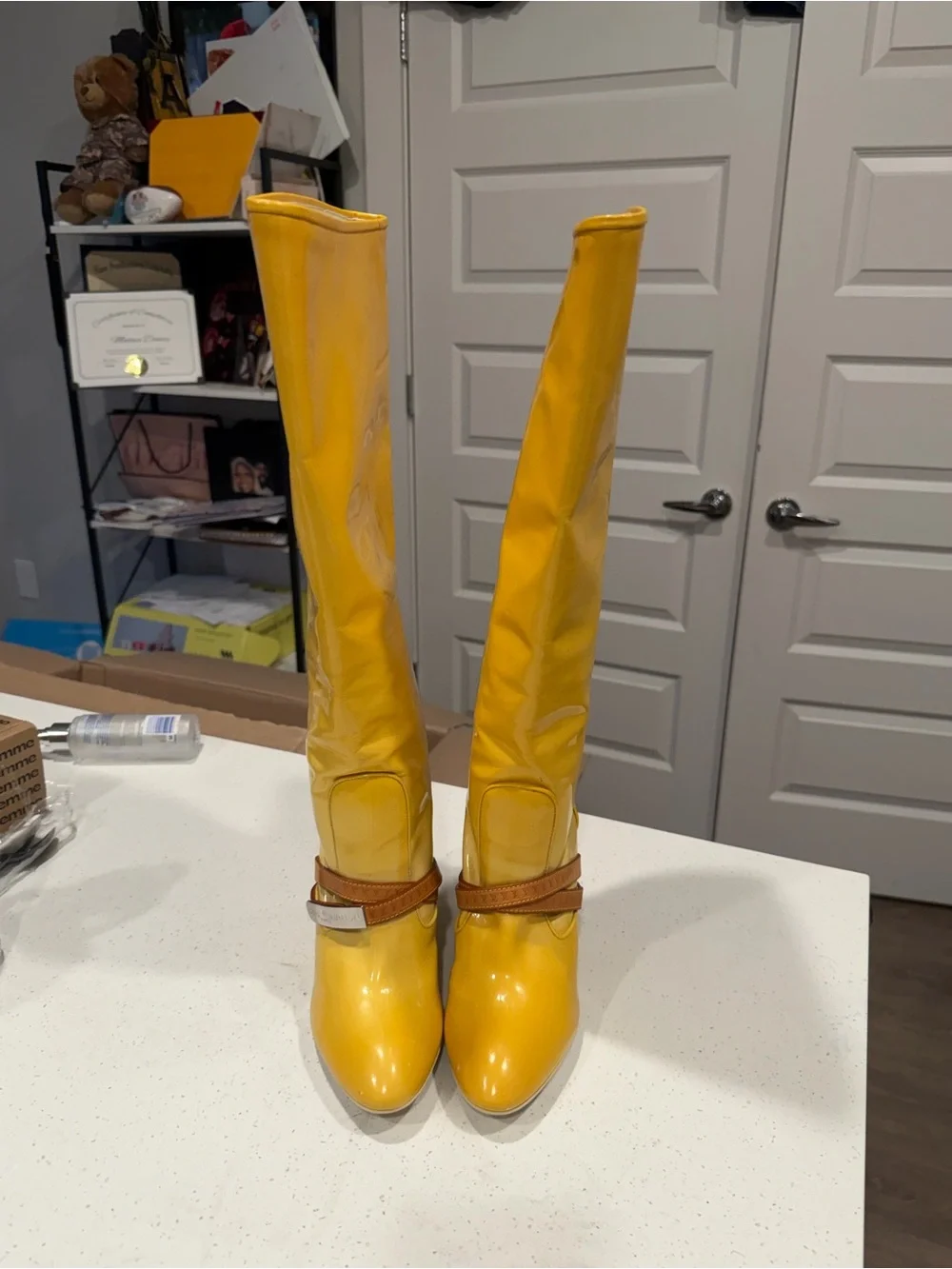 Louis Vuitton authentic louis